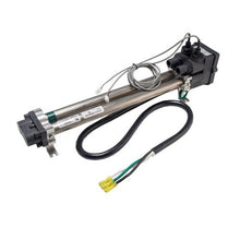 Load image into Gallery viewer, FALSE