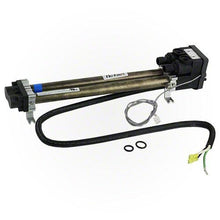 Load image into Gallery viewer, FALSE