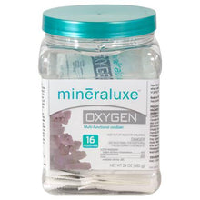 Load image into Gallery viewer, Mineraluxe Brominating Tablets System - 3 Month