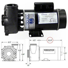 Load image into Gallery viewer, Waterway Executive 2 HP 2 Speed 48 Frame 230 Volt Pump 3420820-1A
