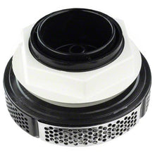 Load image into Gallery viewer, Waterway 2&quot; Designer Pro Suction Assembly
